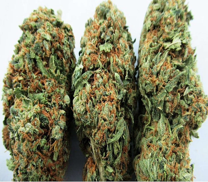 5 Informative Facts About Buying Weed Online That We All Must Know! post thumbnail image